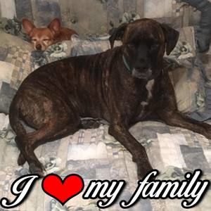 Meet your Posher, Myranda